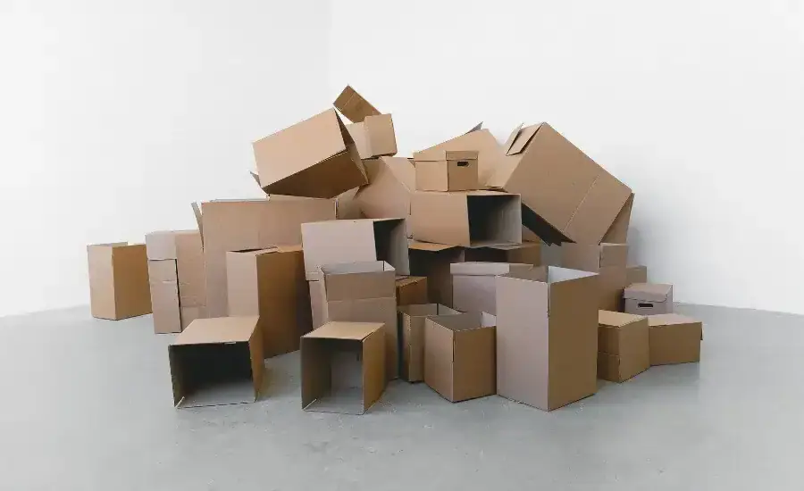 Carton Boxes in Multiple Sizes Included in Cosmetic Packaging Project